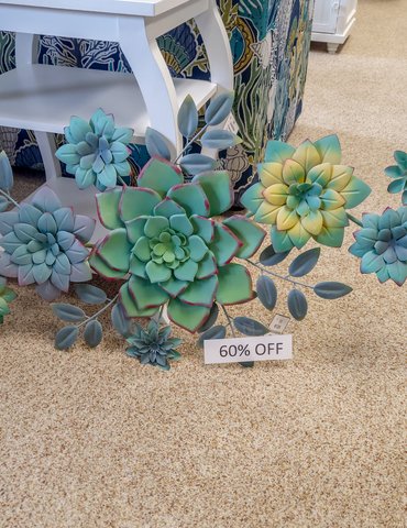Kitty Hawk Carpets & Furniture Promotions Metal Blue and Green Succulents